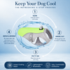 Dog Cooling Vest – Breathable Summer Cooling Vest