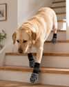 Non-Slip Dog Socks with Grippers for Traction