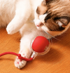 Interactive Cat Ball Toy - Automatic Rolling Ball for Cats