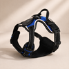 Rechargeable Light-Up LED Dog Harness for Night Walks