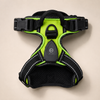 Rechargeable Light-Up LED Dog Harness for Night Walks