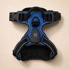 Rechargeable Light-Up LED Dog Harness for Night Walks