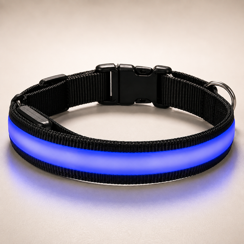 Rechargeable LED Dog Collar – Light-Up Safety Collar for Night Walks