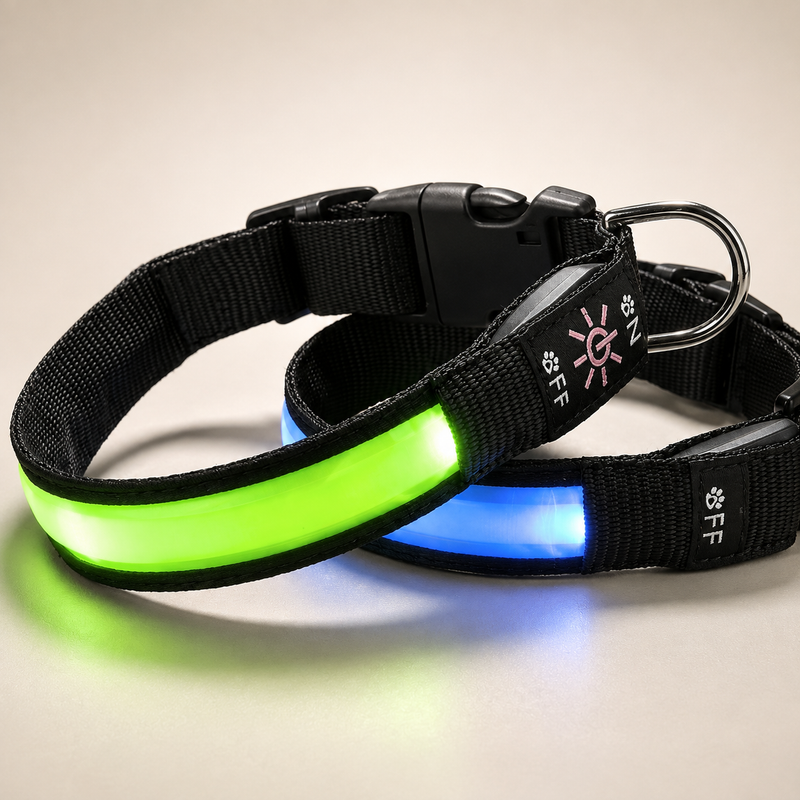 Rechargeable LED Dog Collar – Light-Up Safety Collar for Night Walks