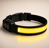 Rechargeable LED Dog Collar – Light-Up Safety Collar for Night Walks